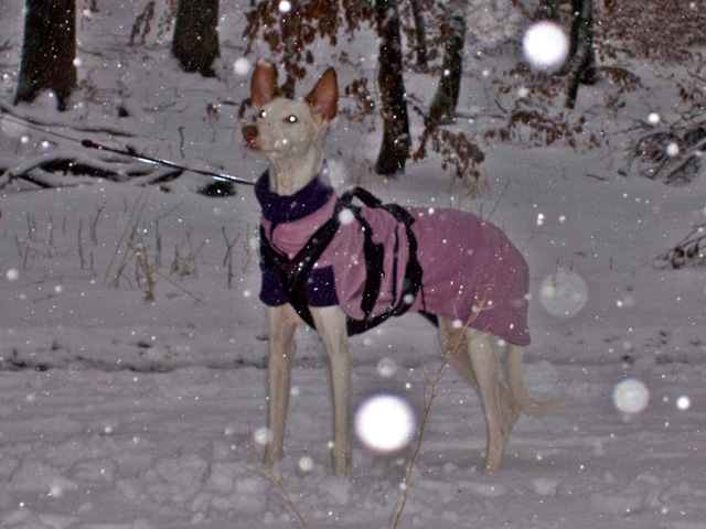 Spaziergang Alb 009.jpg