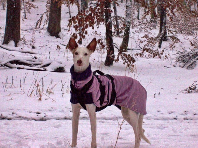 Spaziergang Alb 010.jpg