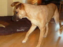 Bild 274(1)(1).jpg