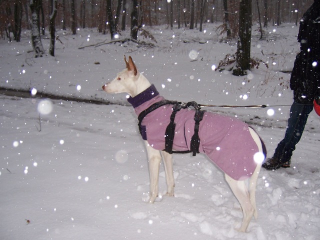 Spaziergang Alb 011.jpg