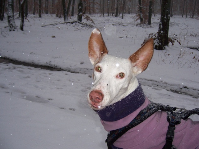 Spaziergang Alb 013.jpg