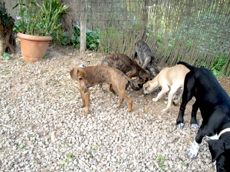 Patricia ,Barby,Maite .jpg