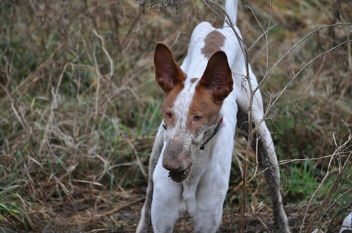 DSC_0885.JPG