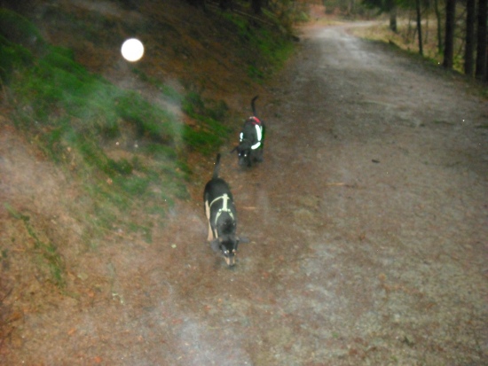 Lucky 09. 01 (25)k12.jpg