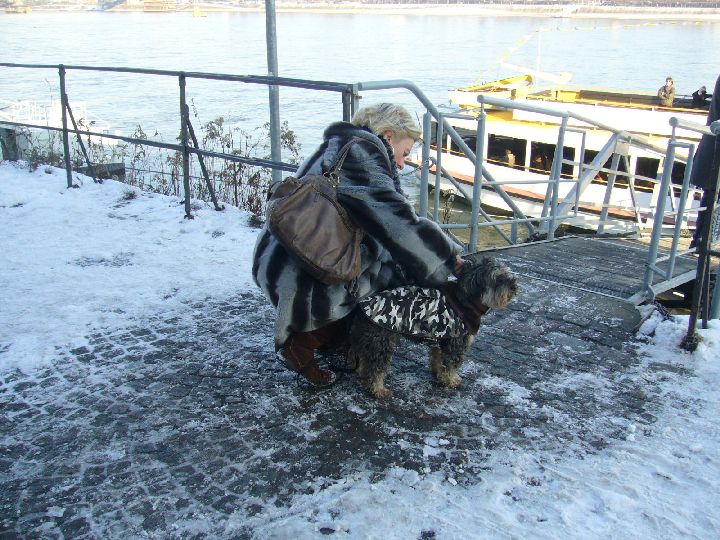 Balou008.jpg