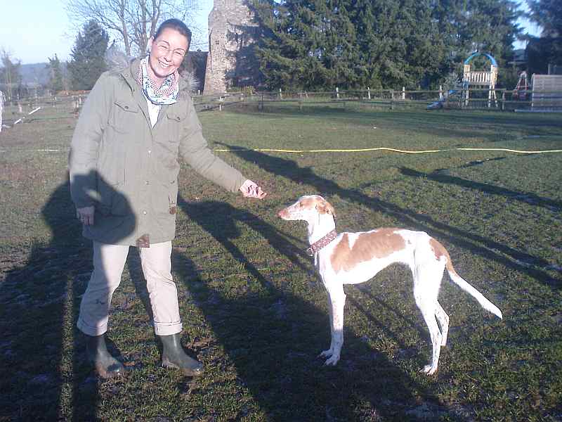 Hundis150112_4.jpg