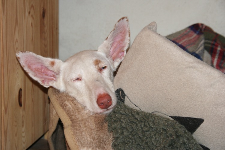 Bild 440.jpg