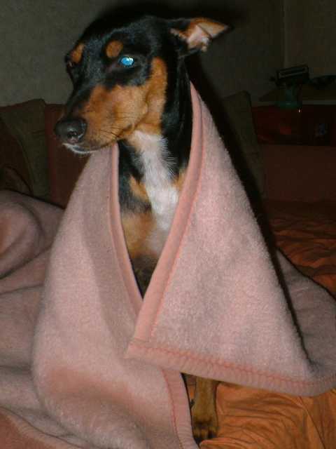 K640_Lilly in Decke.JPG