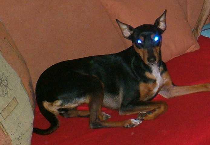 K640_Lilly.JPG