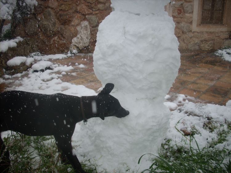 s mir noch und lutsch derweil am Schneemann.jpg
