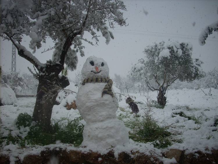 Ich bin dann auch mal weg - tschüss Schneemann.jpg