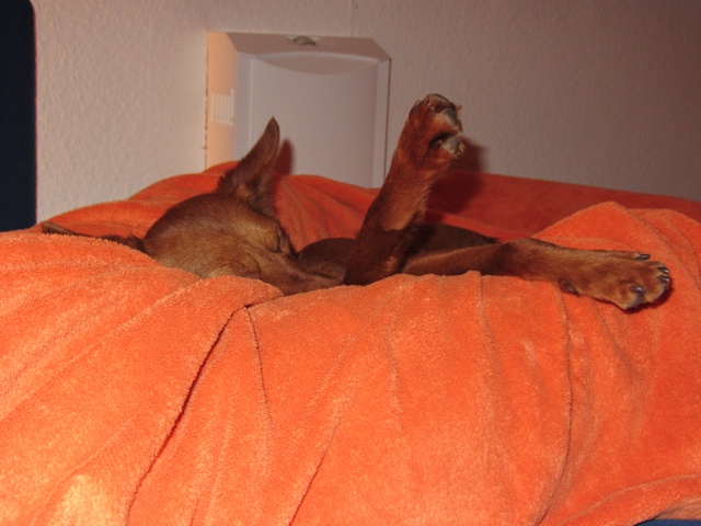 Rosa_06.02.2012 120.jpg