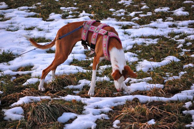 DSC_0205.jpg