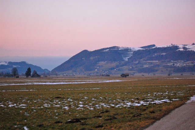 DSC_0217.jpg