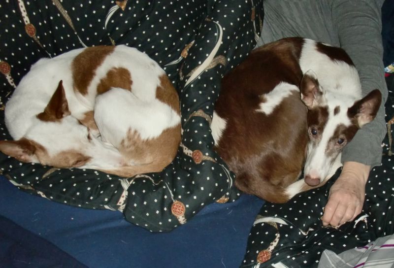 Oscar und Denco.jpg