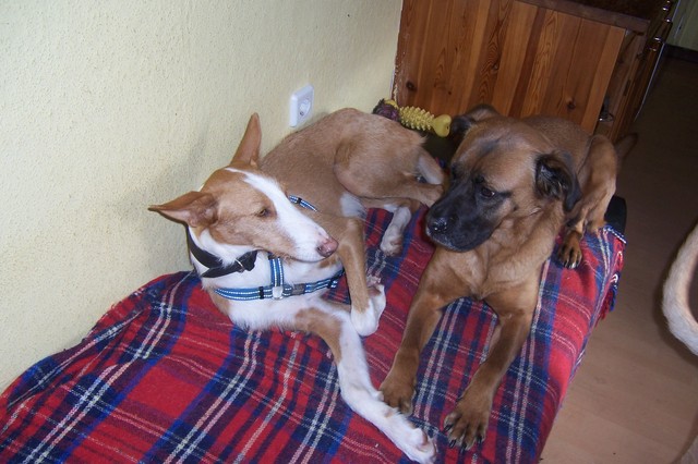 2012-02-18 MAI 010.JPG