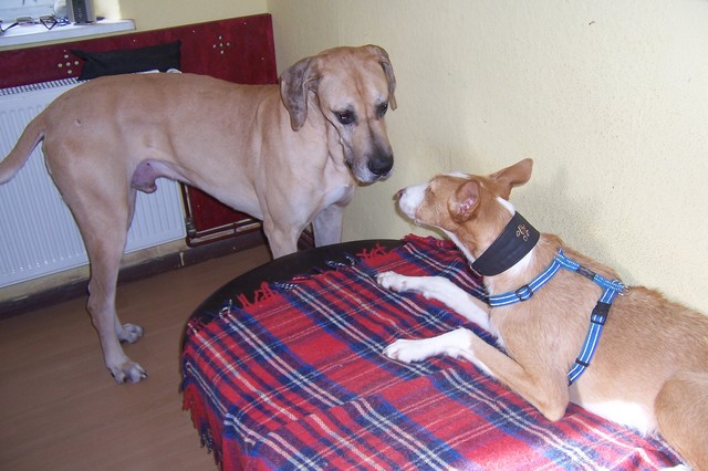 2012-02-18 MAI 014.JPG