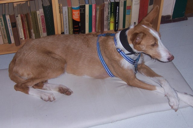 2012-02-18 MAI 017.JPG