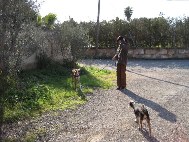 Indianas 1. Spaziergang.jpg