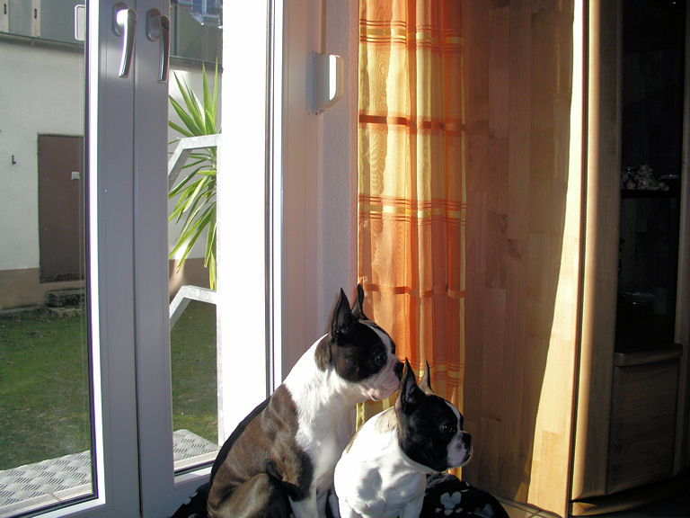 P2040010a.jpg