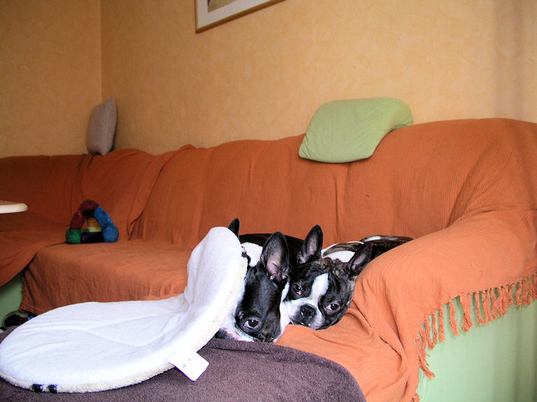 P1010015a.jpg