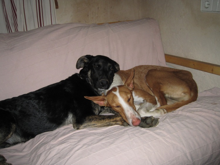 Indiana  + Lemmy.jpg