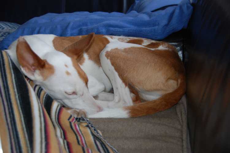 DSC_1446.JPG