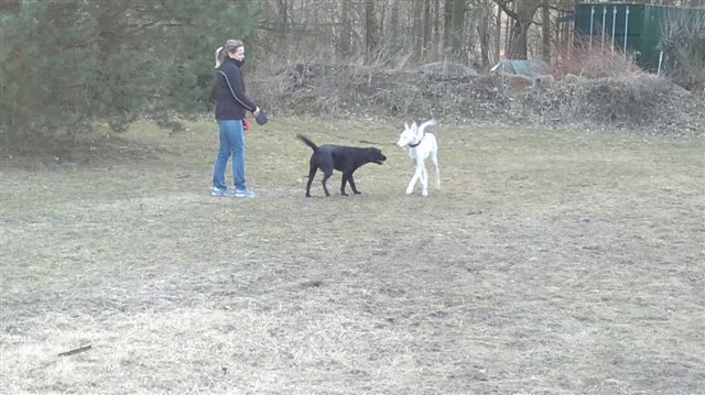 Atxa Ankunft (1).jpg