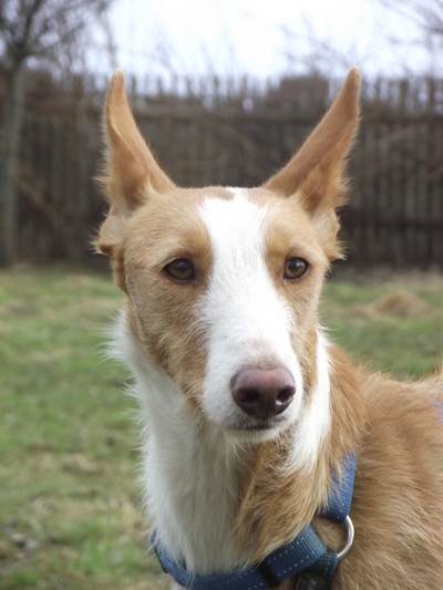 Hallo - wer bist du denn?