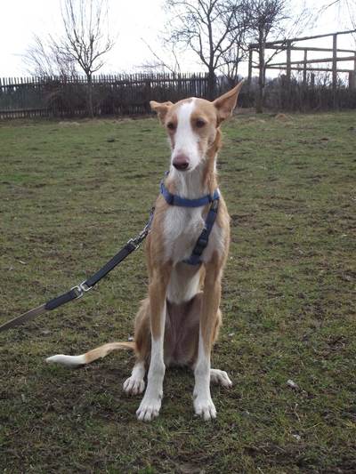 ist sie nicht hübsch???