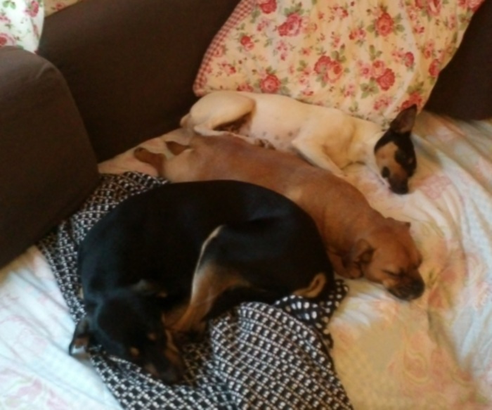 Staffelkuscheln.jpg