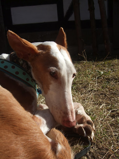 DSCF8076.JPG