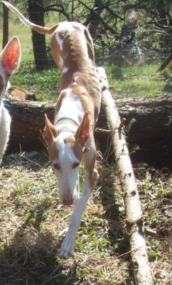 DSCF7908.JPG