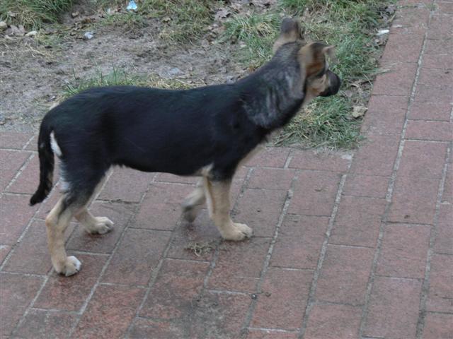 P1020623 (Small).JPG