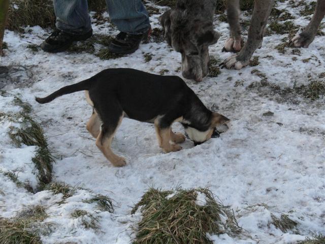 P1020613 (Small).JPG