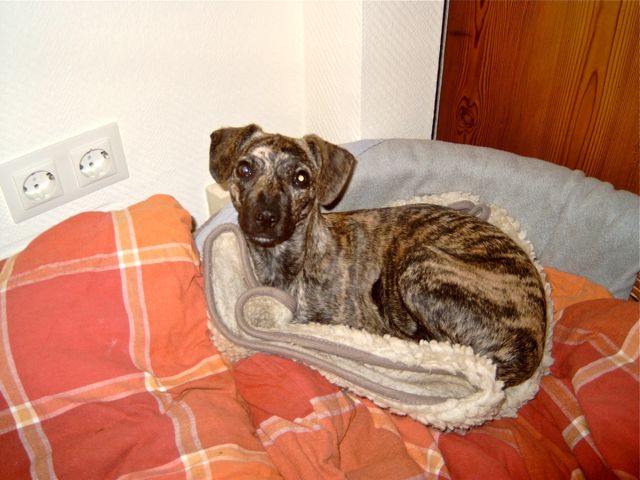Bild 19.jpg