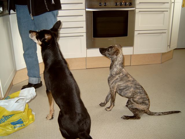 Bild 22.jpg