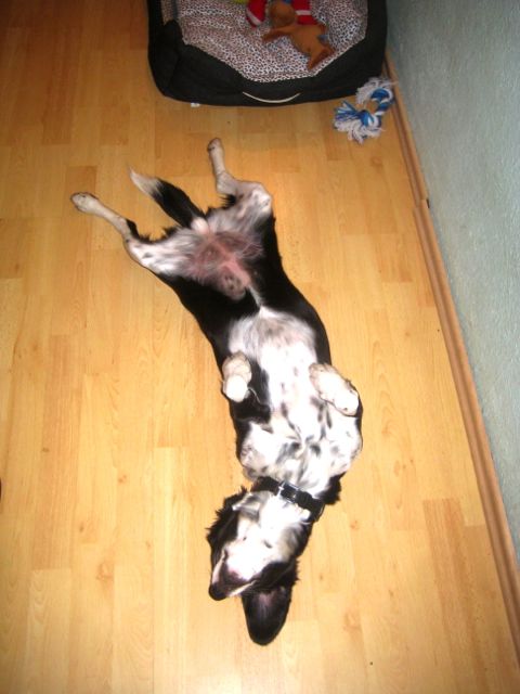 Bild 2.jpg
