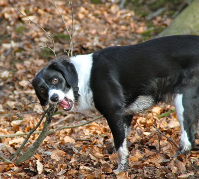 Bild 4.jpg