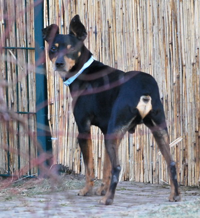 DSC_0446.jpg