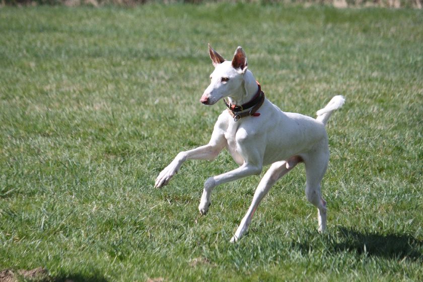 700_IMG_3726.jpg