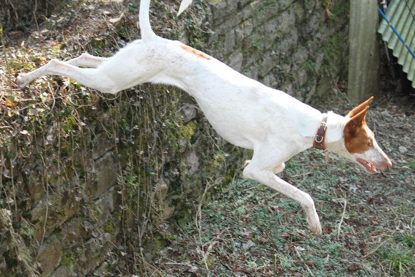 700_IMG_3486.jpg