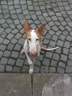 DSCF8629.JPG