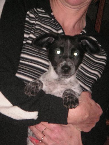 suzi4feb.jpg