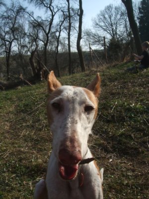 DSCF8386.JPG