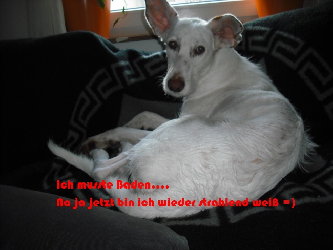 DSCF0021 k2.jpg