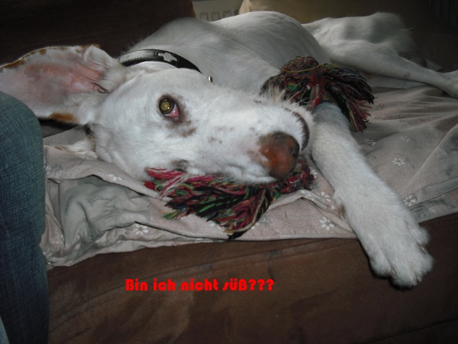 DSCF0025 k4.jpg