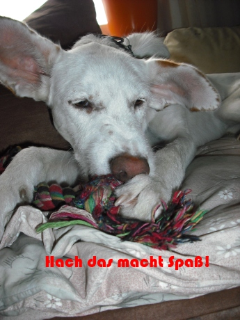 DSCF0030 k5.jpg
