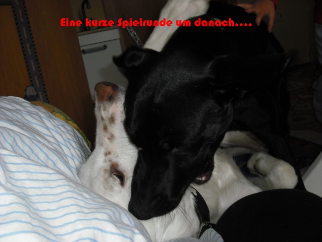 DSCF0041 k6.jpg