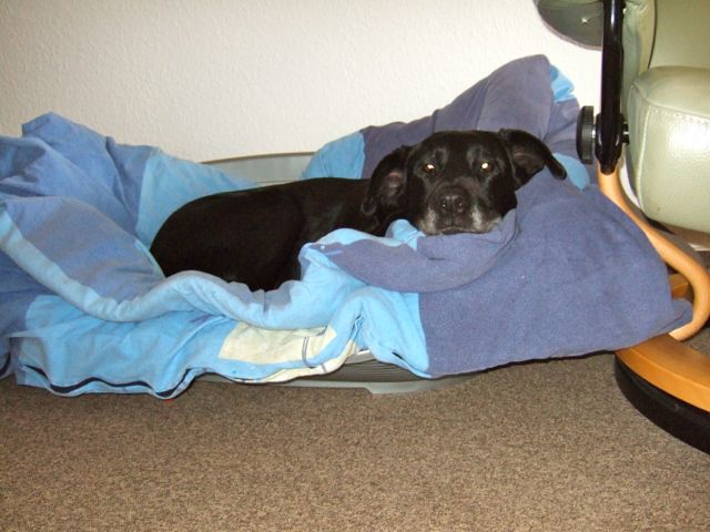 Bild 2.jpg